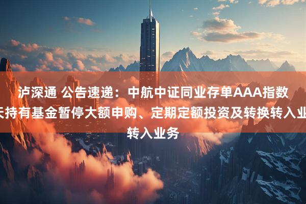 泸深通 公告速递：中航中证同业存单AAA指数7天持有基金暂停大额申购、定期定额投资及转换转入业务