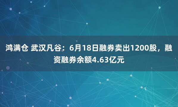 鸿满仓 武汉凡谷：6月18日融券卖出1200股，融资融券余额4.63亿元