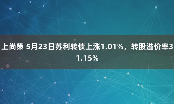 上尚策 5月23日苏利转债上涨1.01%，转股溢价率31.15%