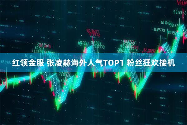 红领金服 张凌赫海外人气TOP1 粉丝狂欢接机